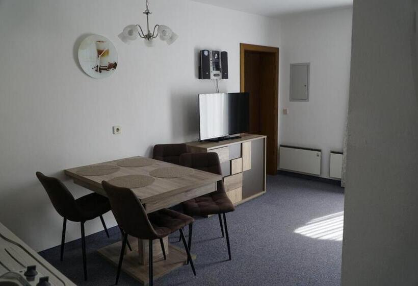 Апартаменты 1 Спальня, Pension Ferienwohnung Rotar