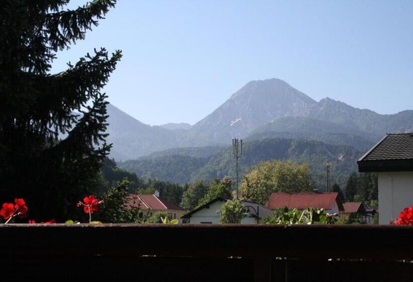 غرفة قياسية, Pension Ferienwohnung Rotar