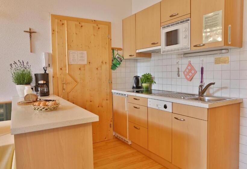 شقة غرفتين نوم مزودة بشُرفة, Rosenhof  Premium Apartments & Erlebnisbauernhof