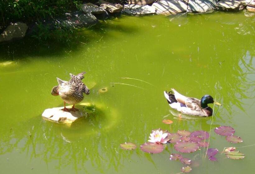 스탠다드 발코니 룸, St. Oswalderhof