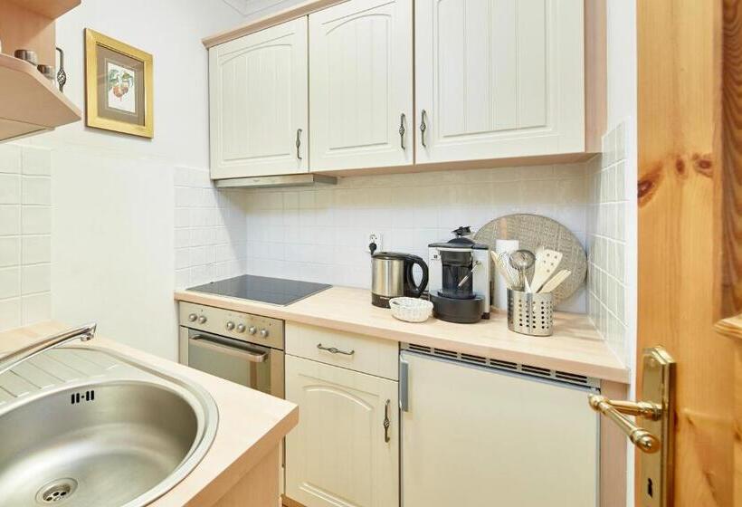 آپارتمان 1 خوابه با بالکن, Landsitz Römerhof Hotel Apartments