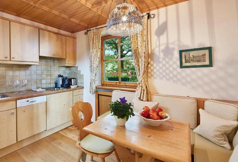 آپارتمان سوپریور 1 خوابه, Landsitz Römerhof Hotel Apartments