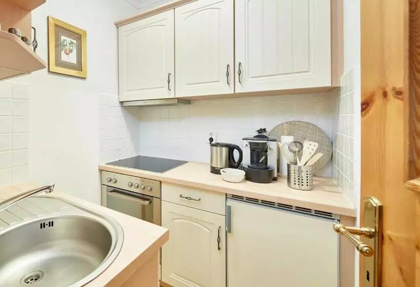 آپارتمان راحتی 1 خوابه, Landsitz Römerhof   Hotel Apartments