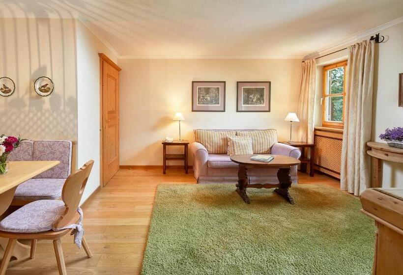 آپارتمان کلاسیک 1 خوابه, Landsitz Römerhof Hotel Apartments