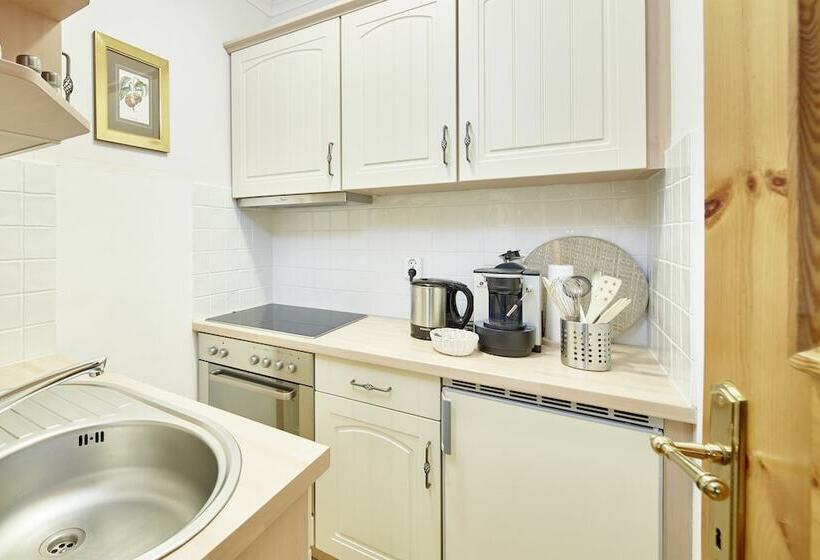 آپارتمان راحتی 1 خوابه, Landsitz Römerhof   Hotel Apartments