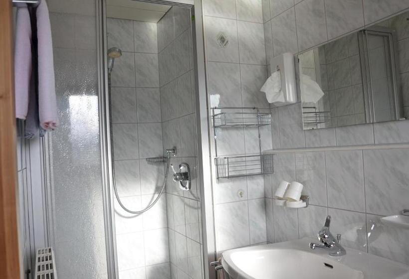 Номер Стандарт с Балконом, & Alpengasthof Pinzgerhof