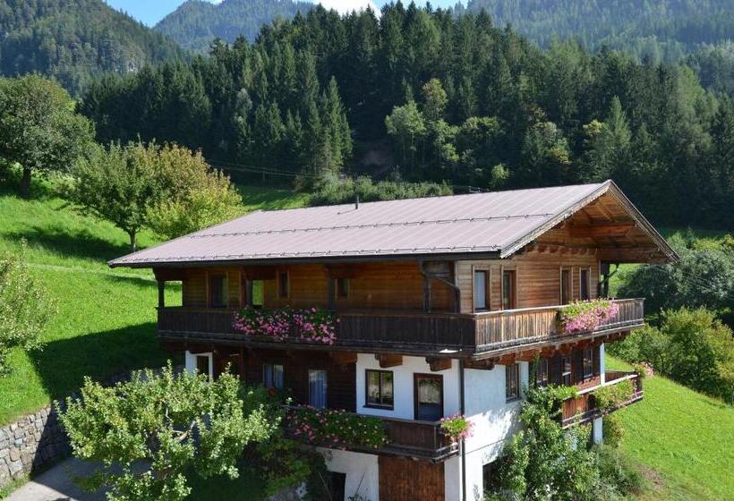 Номер Стандарт с Балконом, & Alpengasthof Pinzgerhof