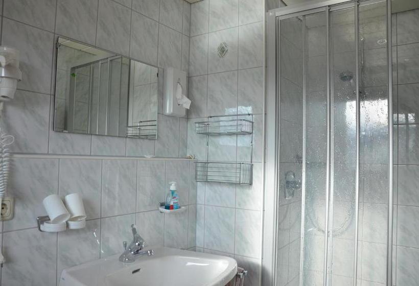 Номер Стандарт с Балконом, & Alpengasthof Pinzgerhof