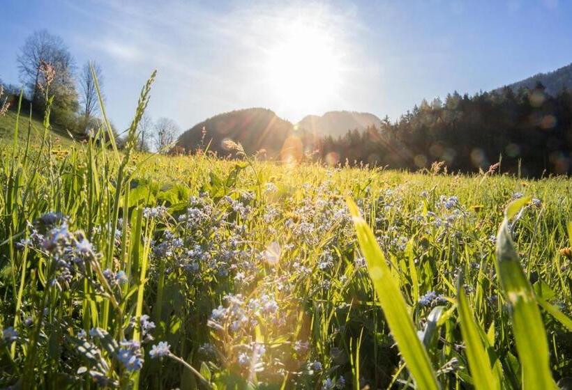 Семейный Номер Deluxe, & Alpengasthof Pinzgerhof