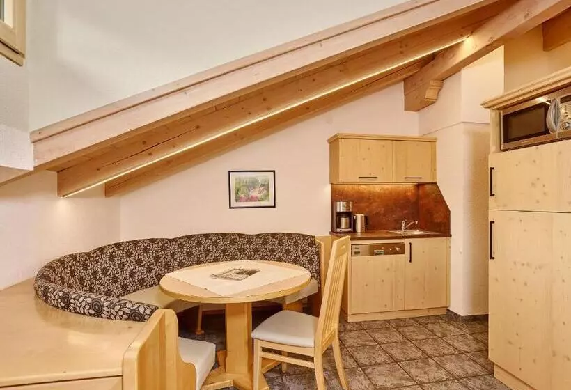 آپارتمان سوپریور 2 خوابه, Gästehaus Renate