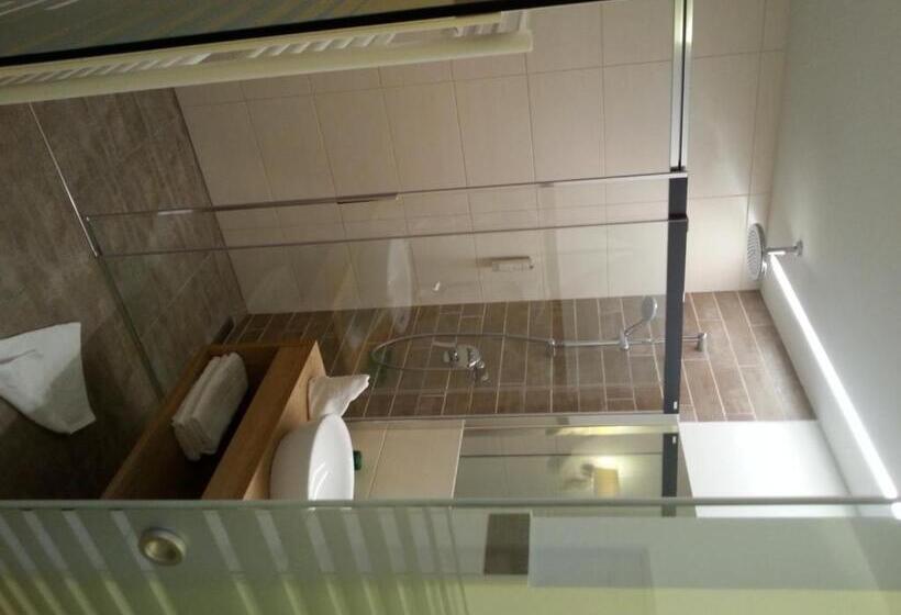 Номер Deluxe, Posthotel Radstadt