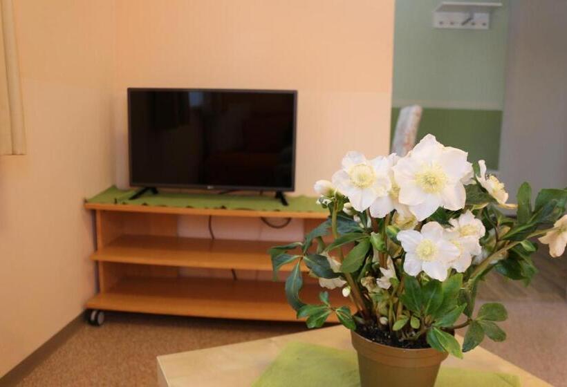 דירת חדר, Pension Göschlberger