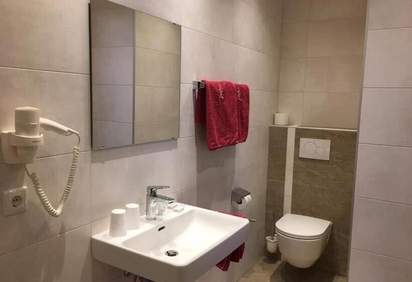 Camera Standard, Pension Lagler