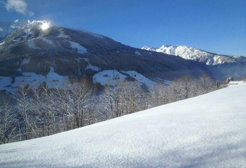 シングルデラックスルーム, Pension Schlossberg
