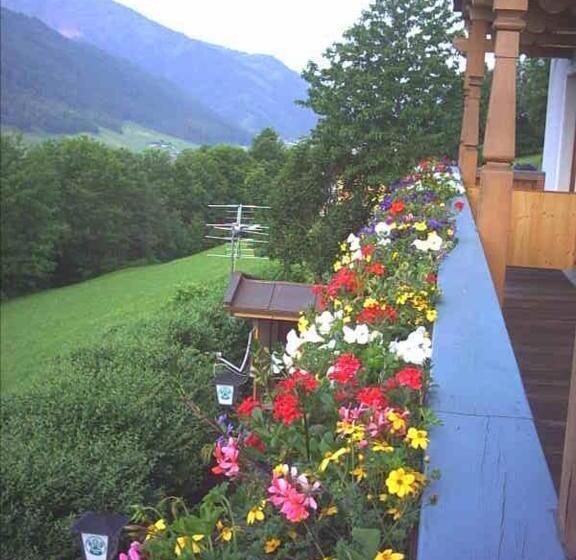 バルコニー付きスタンダードルーム, Pension Schlossberg