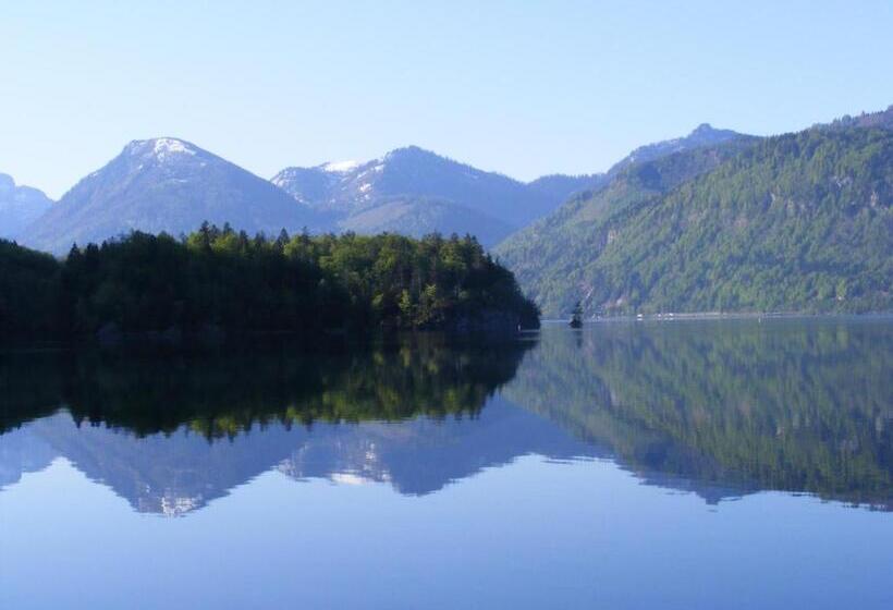 コンフォートシングルルーム, & Gasthof Fürberg