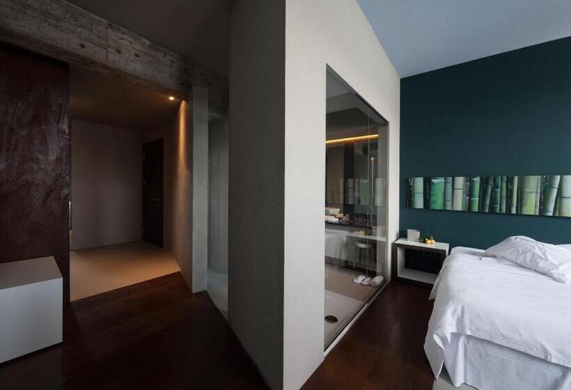 标准间带湖景, Locanda Del Benaco