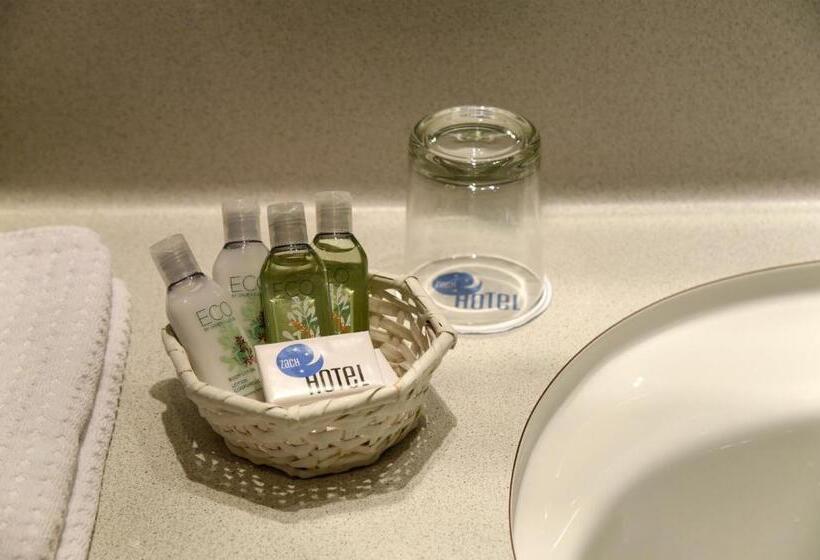 适合残疾人使用的标准间, Zach