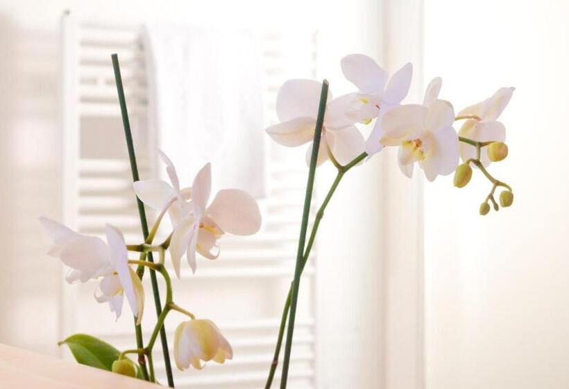 Полулюкс, Villa Seilern Vital Resort