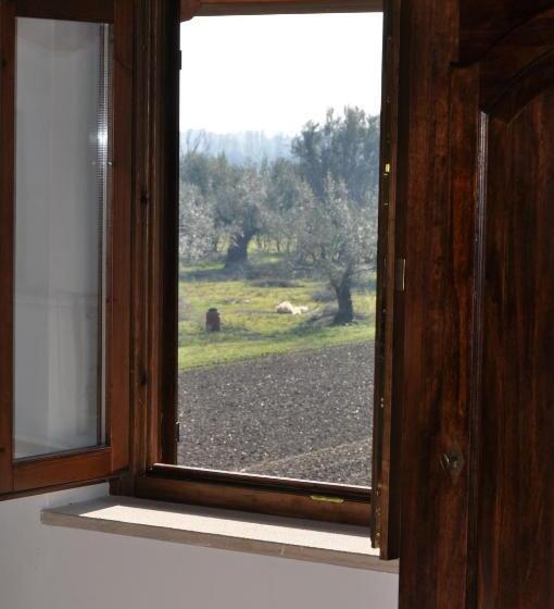 اتاق استاندارد یک نفره, Agriturismo La Colombaia