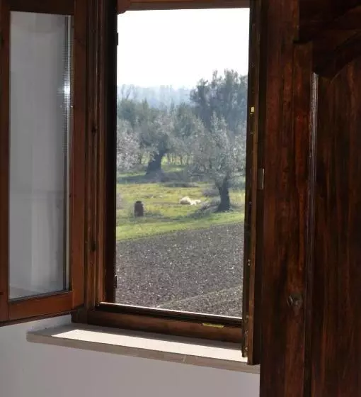 スタンダードシングルルーム, Agriturismo La Colombaia