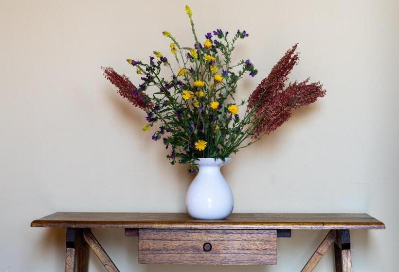 חדר סטנדרט, Borgata Baldazza