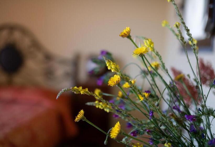 חדר סטנדרט לשלושה, Borgata Baldazza