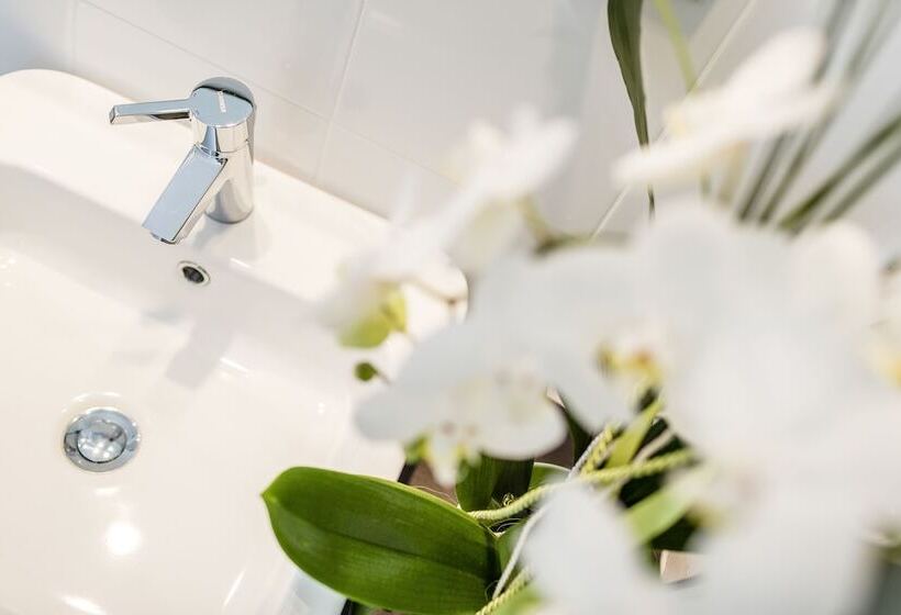 Номер Стандарт Индивидуальный, Grand Hotel Bellevue   Adults Only