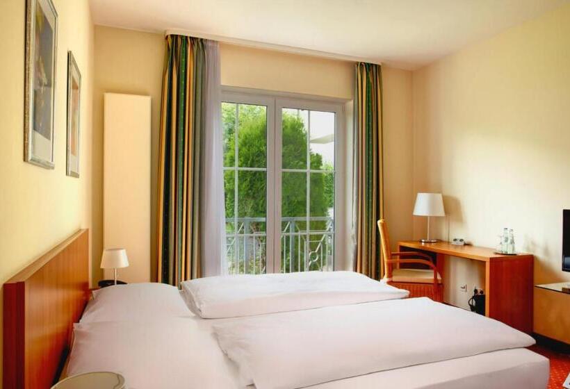 비즈니스룸, Zielonka