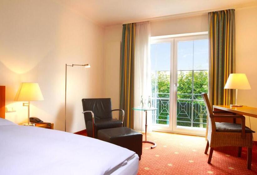 비즈니스룸, Zielonka