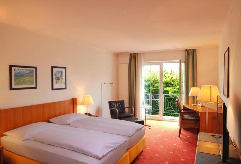 비즈니스룸, Zielonka