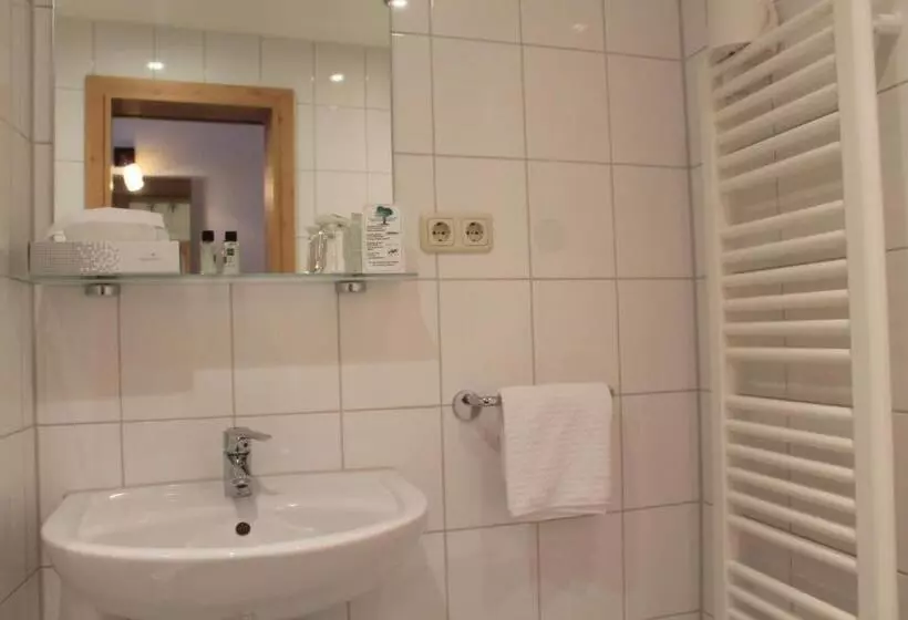 Standard Single Room, Steichele Hotel & Weinrestaurant