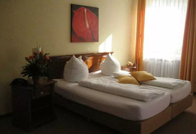 اتاق استاندارد, Altstadthotel Schex