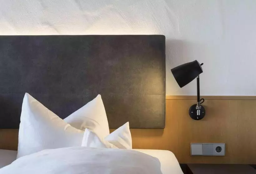 Standard-huone, Appartement Hotel Seerose