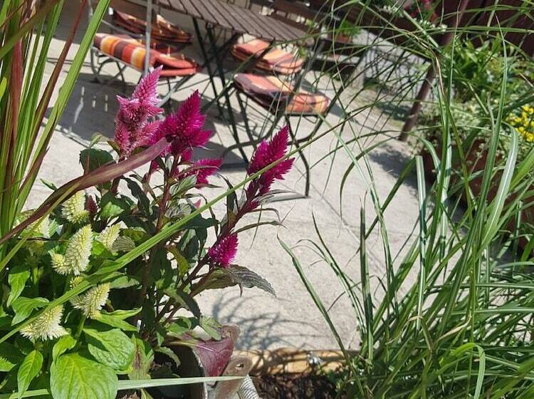 ファミリールーム, Pension Marlis