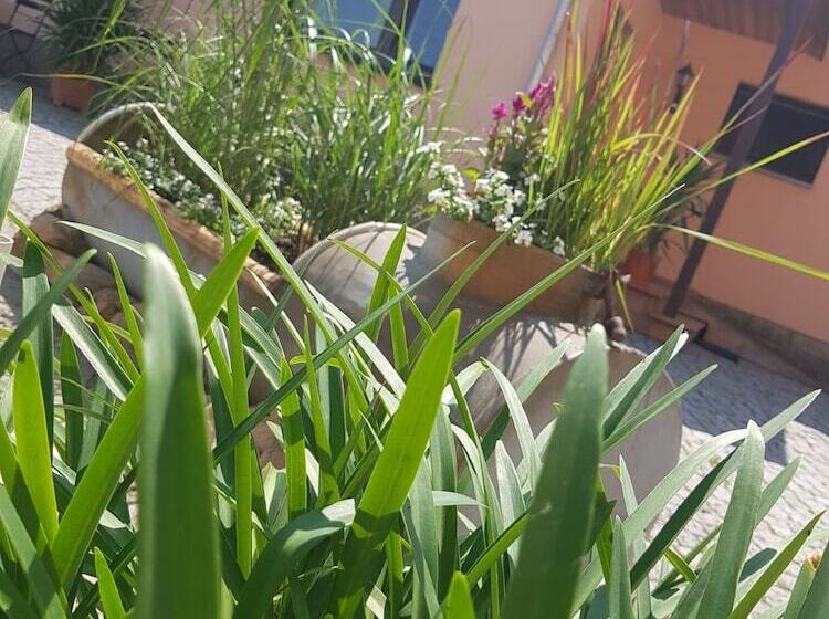 コンフォートルーム, Pension Marlis