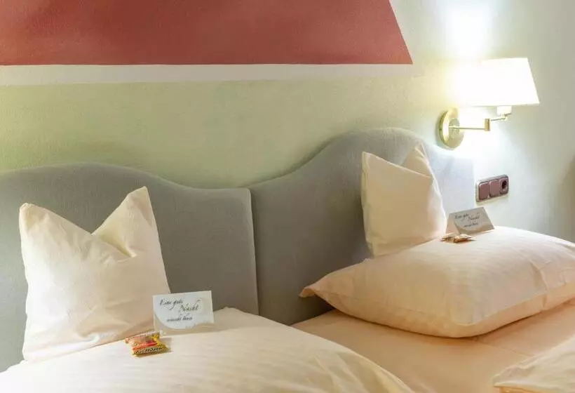 スタンダードルーム, Goldener Schwan Hotel Garni