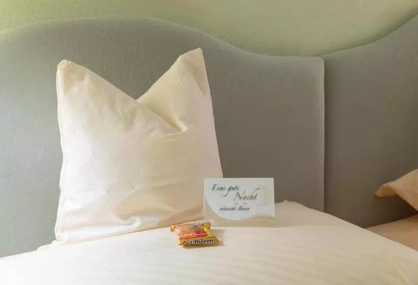 スタンダードシングルルーム, Goldener Schwan Hotel Garni