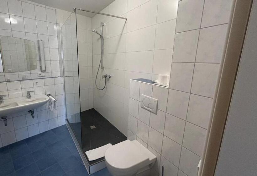 Номер Стандарт Индивидуальный, Goldener Schwan Hotel Garni