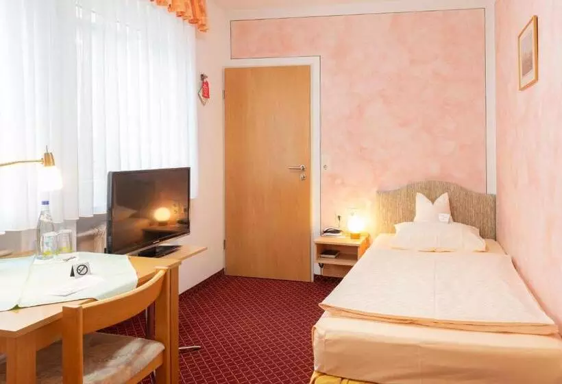 スタンダードシングルルーム, Goldener Schwan Hotel Garni