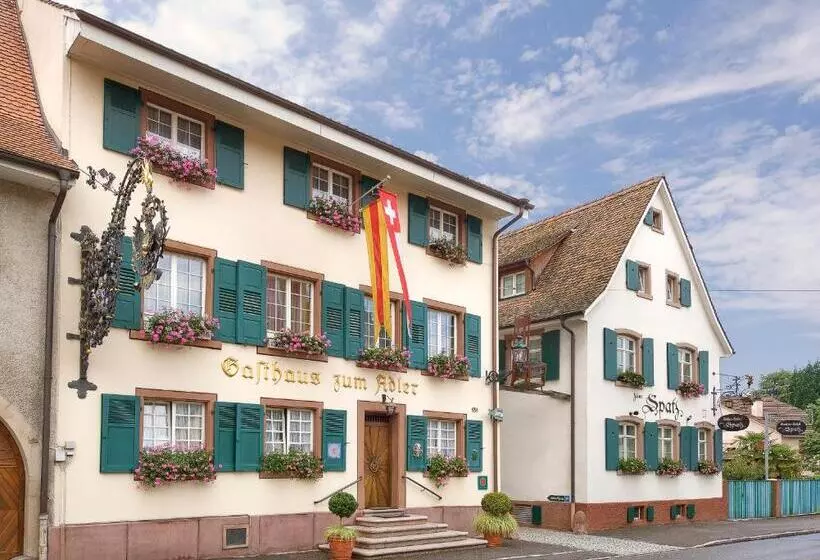 シングルデラックスルーム, Adler   Weil Am Rhein