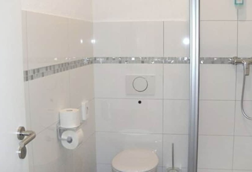 Апартаменты 1 Спальня, Kemnater Hof Apartments