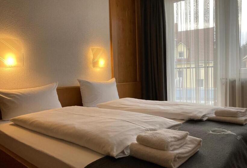 Quarto Estandar, Jägerhaus In Singen Am Hohentwiel