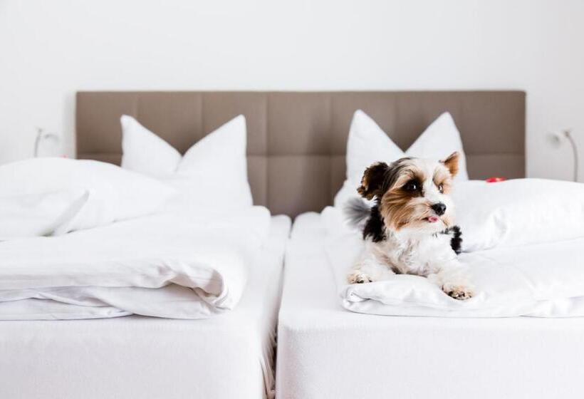 스탠다드 룸, Palko