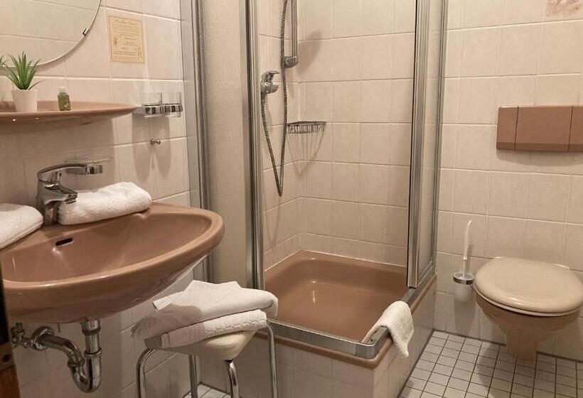 חדר סטנדרט יחיד, Restaurant Zumbusch