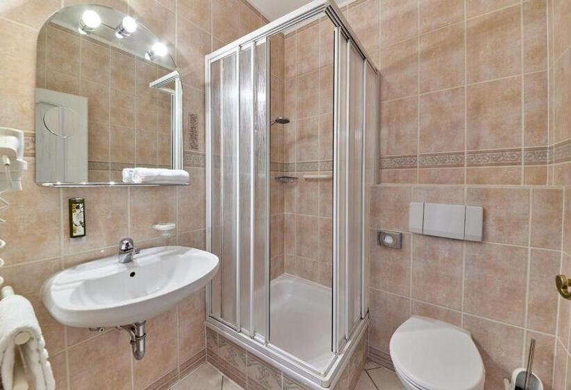 スタンダードシングルルーム, Sankt Maximilian