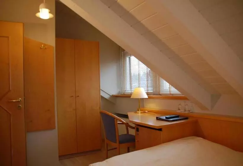 シングルデラックスルーム, Sporthotel Schönblick