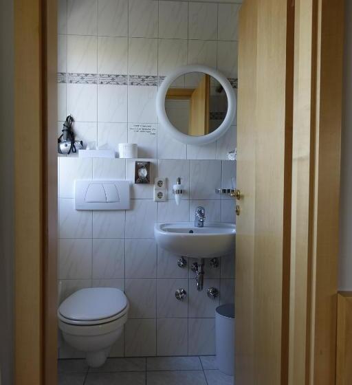 싱글 디럭스 룸, Sporthotel Schönblick