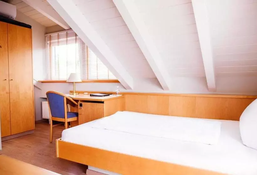 シングルデラックスルーム, Sporthotel Schönblick