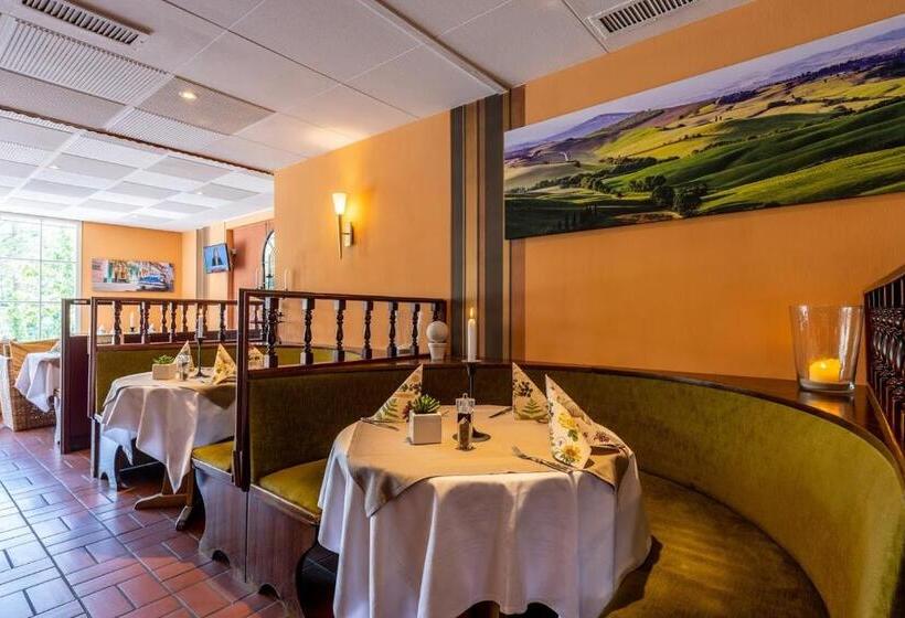 اتاق استاندارد یک نفره, Thermen Hotel & Restaurant Bad Soden